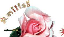 草的兄弟——雨和春风_400字