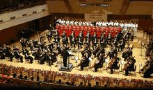 美妙的旋律——音乐会听后感_800字