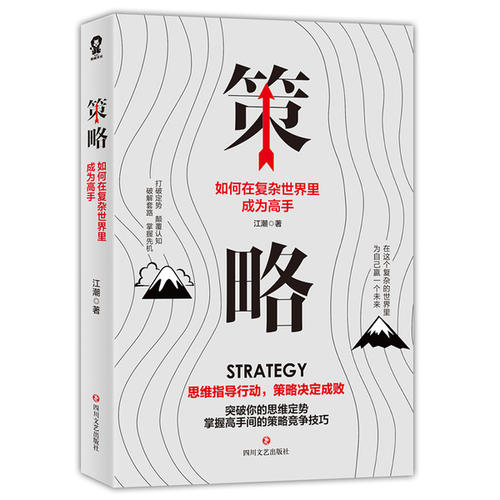 “突破”战略“_450字