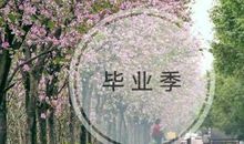 毕业的颜色_300字