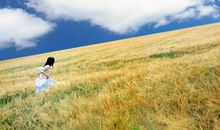 留一片蓝天_450字