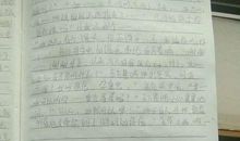 爱是什么……_400字