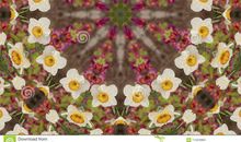 春天“万花筒”_250字