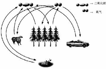 生物圈中的碳氧气平衡_600字