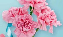 对妈妈说句“我爱你”_300字