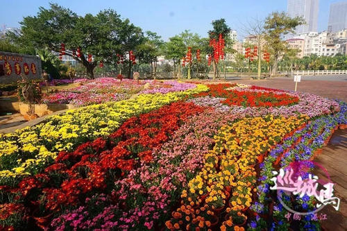 旅游中国澳大利亚友谊花园_550字