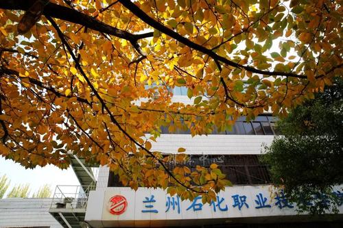 校园秋景_500字