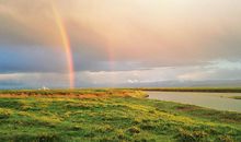 不经历风雨怎样见彩虹_450字