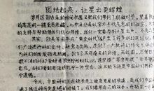 做个了不起的中国人_550字