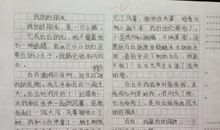 谁在照顾着我？_200字