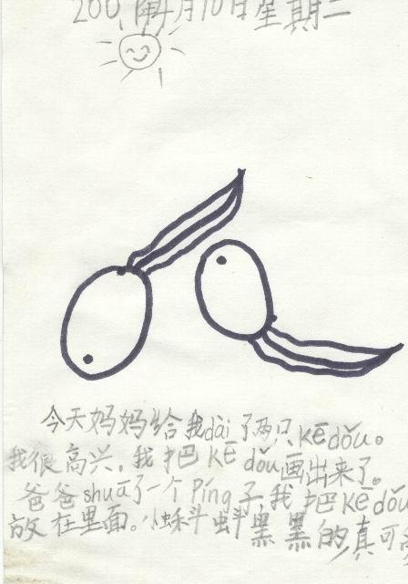 想象一下2008 _450字