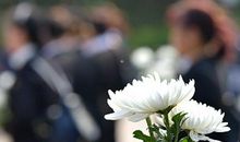 英勇的烈士_1000字