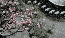 烦恼伴我行_200字