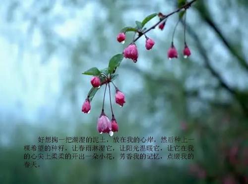 湿春_300字