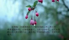 潮湿的春天_300字