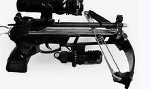 人类朋友的劝告_400字