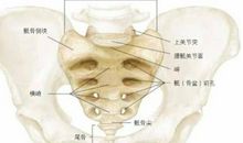解剖母爱_1200字