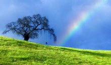 不经历风雨，怎么见彩虹_1200字