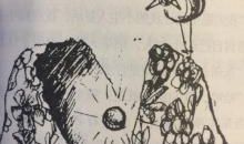 小蚂蚁历险记_2000字