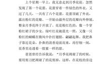 路人的施舍_400字