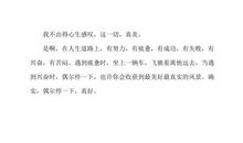 偶尔停一下的感觉真好_700字