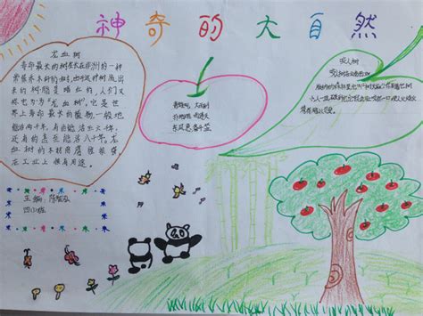 冒险之旅_700字