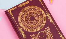 魔法日记本_900字