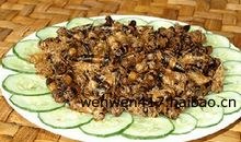 三只蚊子和一个阴影