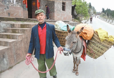 大智慧：这个蝎子非常聪明，他了解他的情况，无论是在哪里，它都是奴隶制。