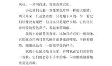 黄河大合唱听后感_500字