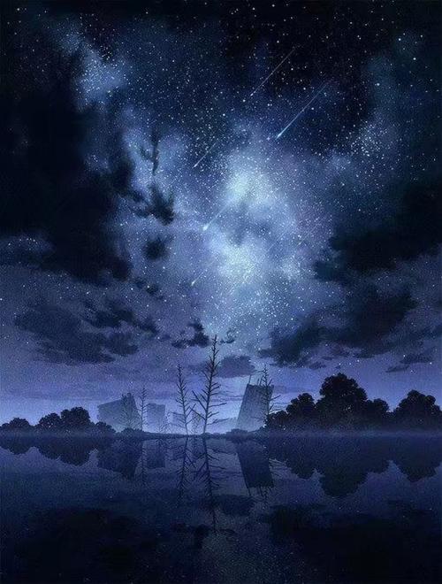 夜空之星_800字