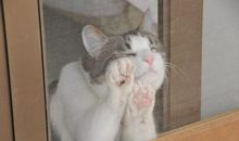 剪不断的牵绊_750字