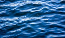 蓝色之旅——美丽的大海_ _800字