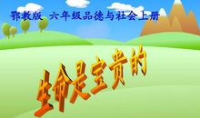 生命是宝贵的_350字