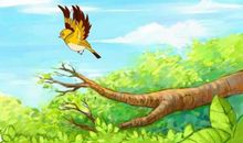 假如我是一只小鸟_600字