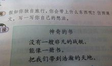 如果你独自旅行，你会带上什么_450字