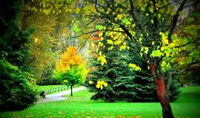 美丽的秋天4_350字