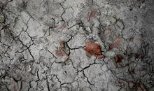 废墟中的哭声_600字