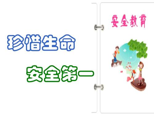 珍惜生命，安全第一_750字