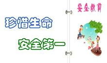 珍爱生命，安全第一_750字