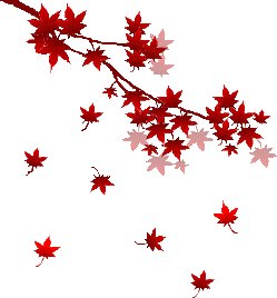 多彩的秋季_350字