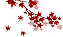 多彩的秋天_350字