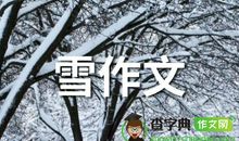 雪飘落了_300字