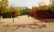 秋天的校园2_700字