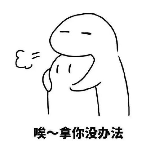 珍贵的照片_500字