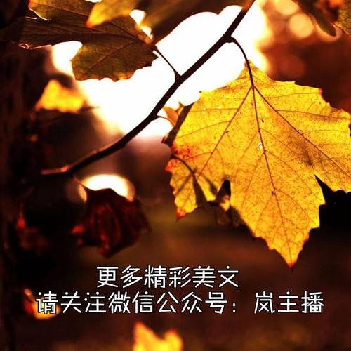 爱情顾虑_600字