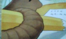 蚯蚓真有趣_400字