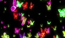 天使蜕变曲_400字