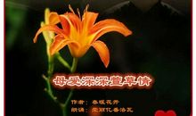 母爱深深，萱草情_650字