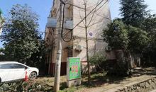 我爱李庙山_450字